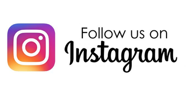 Instagram Follow Button